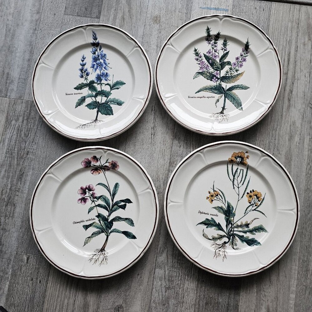 Plates Italy Botanical Floral 9.5" Brown Rim. 4 Patterns! Set Of 4